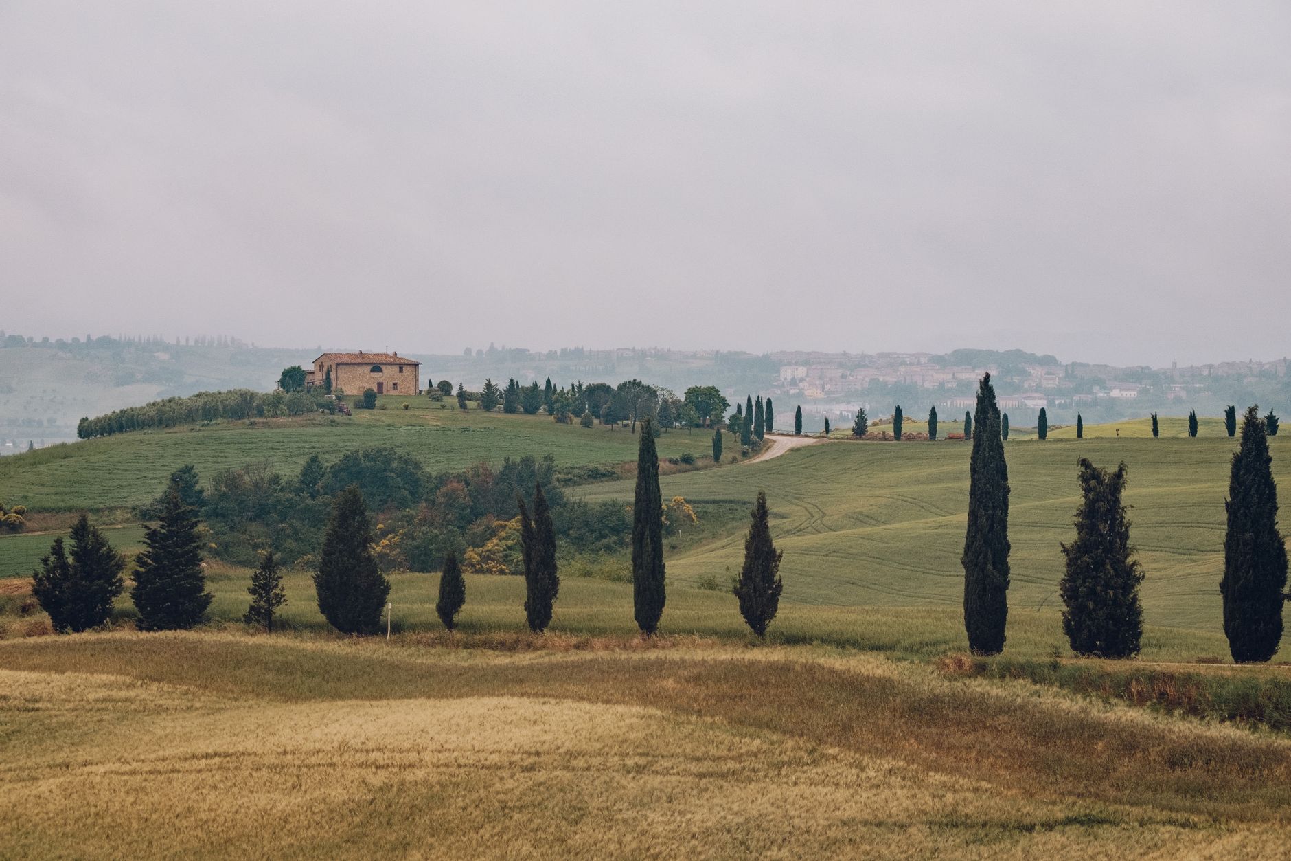 Tuscan rolling hills and cypress trees